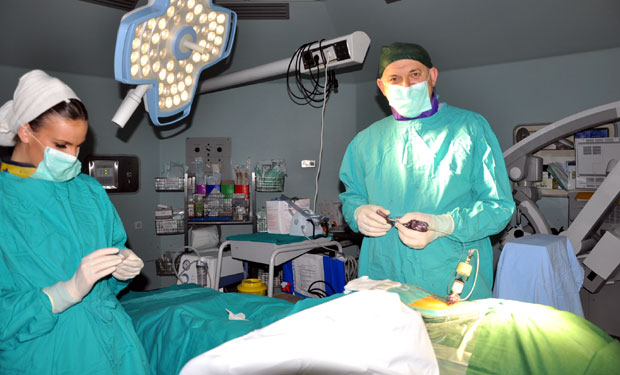 Пршљен поправљају иглом и цементом